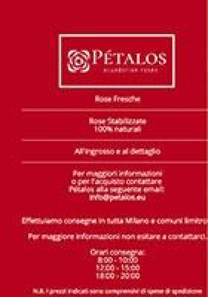 Pétalos – Rose ecuadoriane Milano